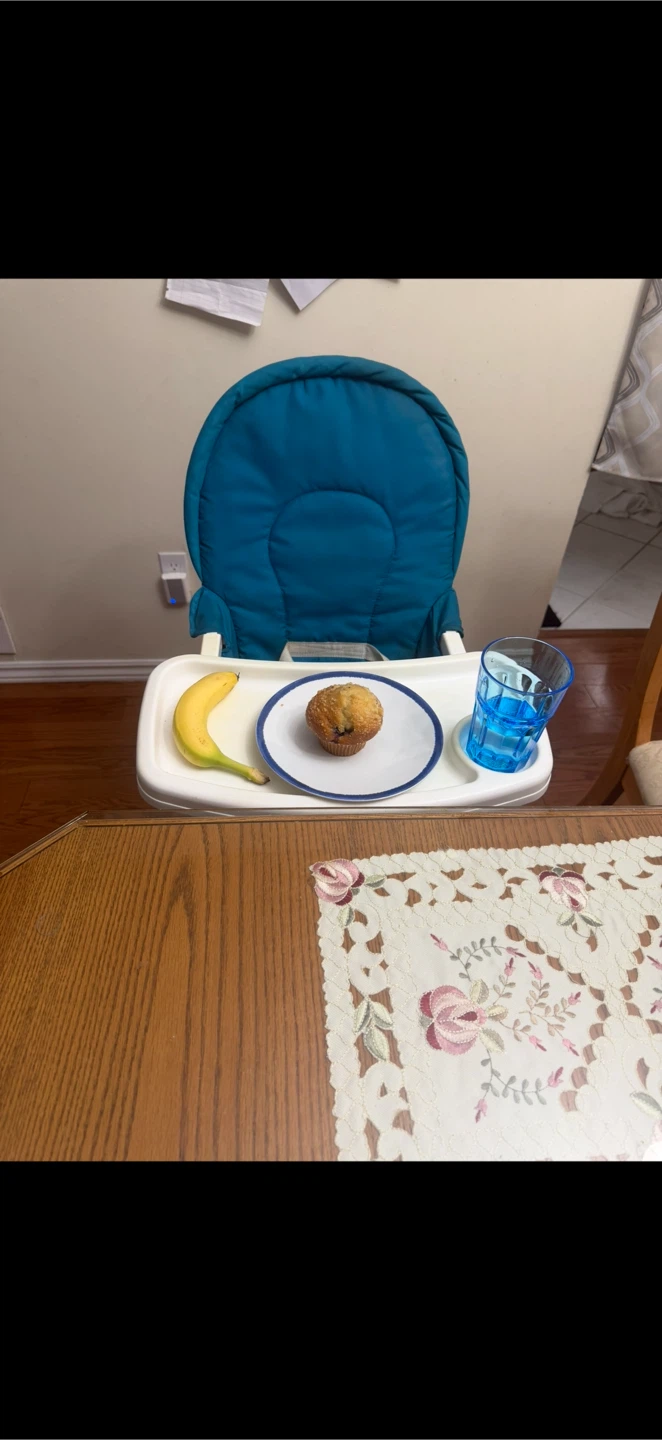Feed/Eat Baby Soft Highchair Foldable - photo 4