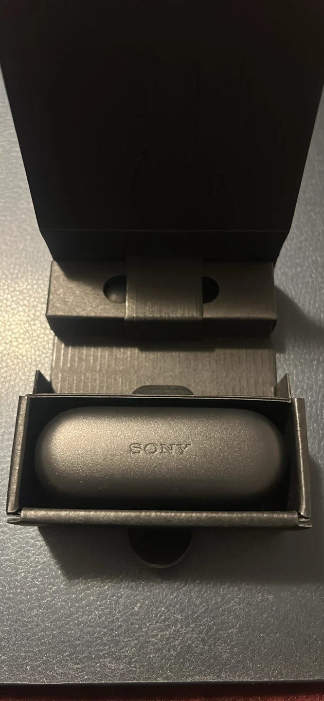 Sony WF-C510 Earbuds - photo 3