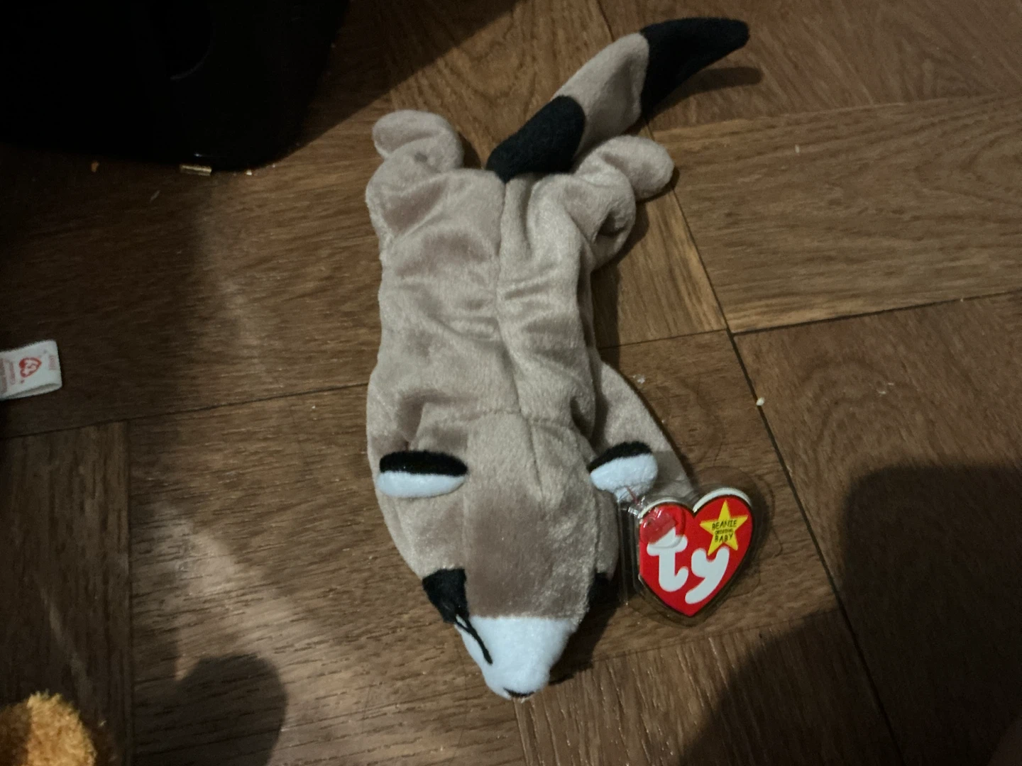 Ty Beanie Baby Raccoon 🏈