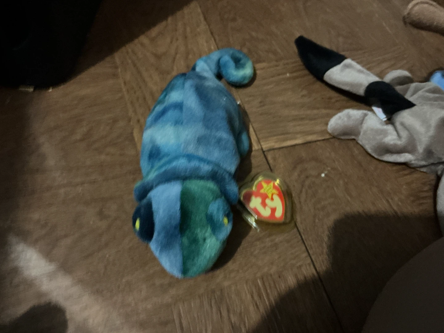 Ty Beanie Baby Chameleon 🏈