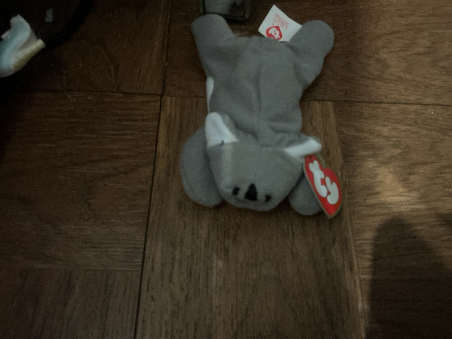Ty Beanie Baby Koala 🏈