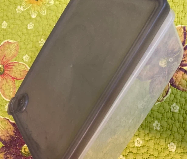 Clear Plastic Food Storage Container🏈