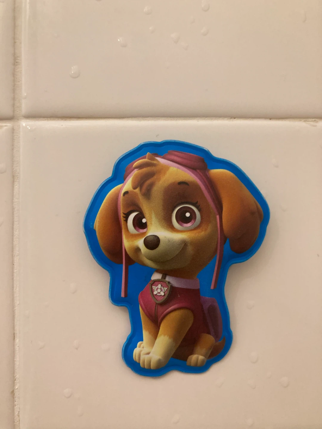 Paw Patrol Skye Bath Sticker🏈