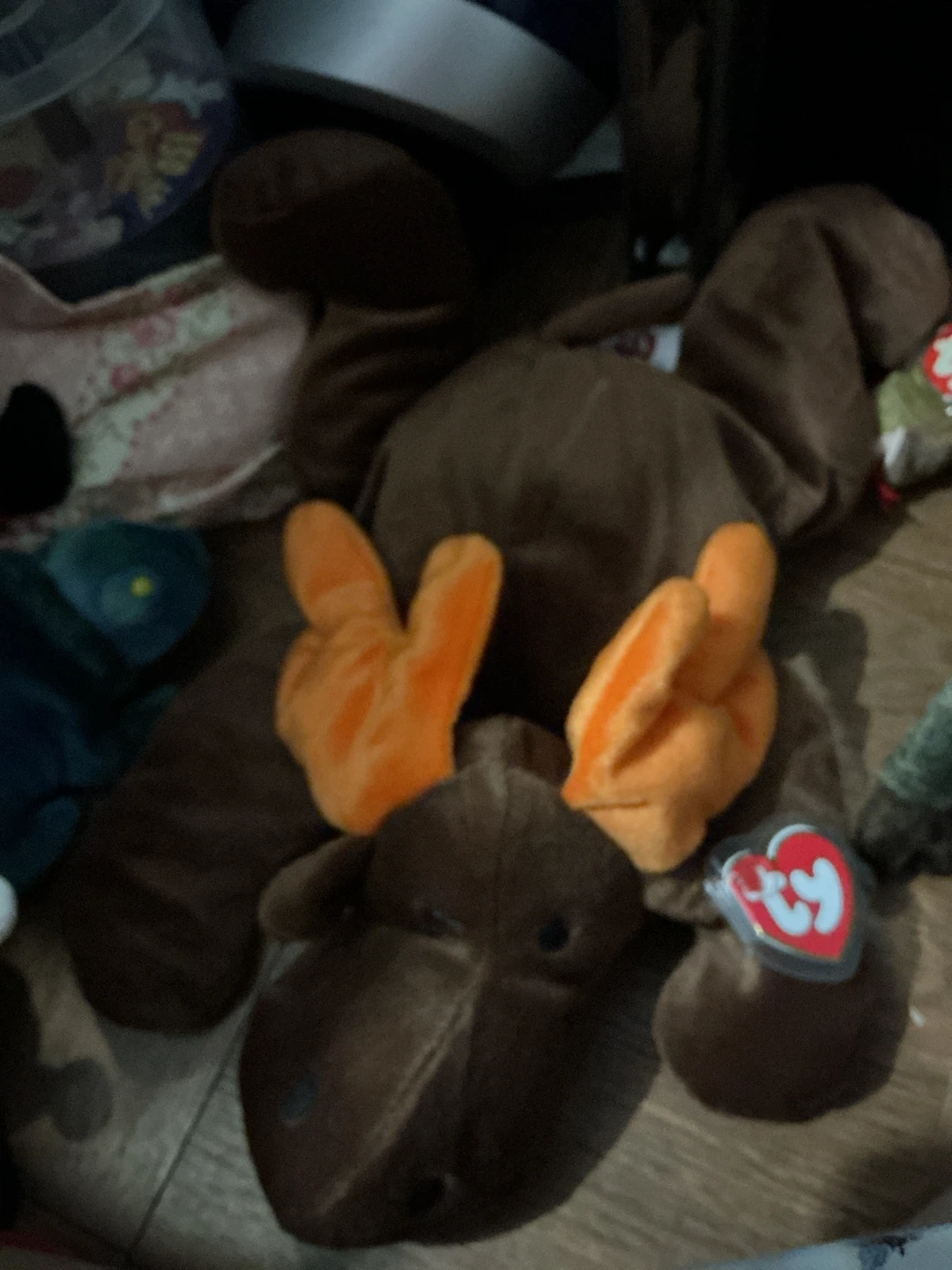 Ty Beanie Baby Chocolate the Moose 🏈