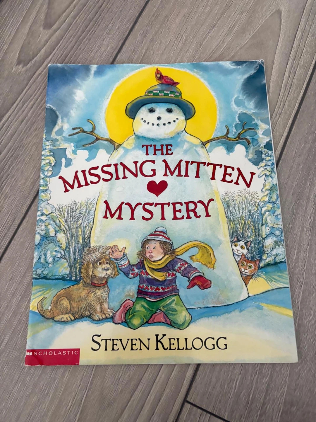 The Missing Mitten Mystery by Steven 🏈
