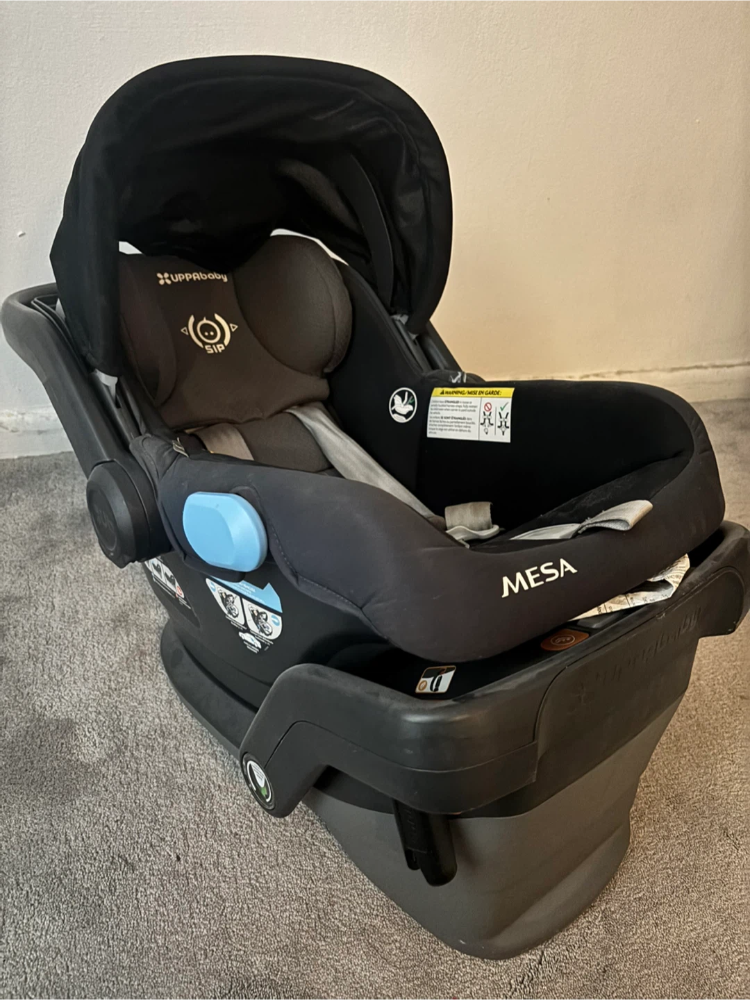 UPPAbaby MESA Infant Car Seat
