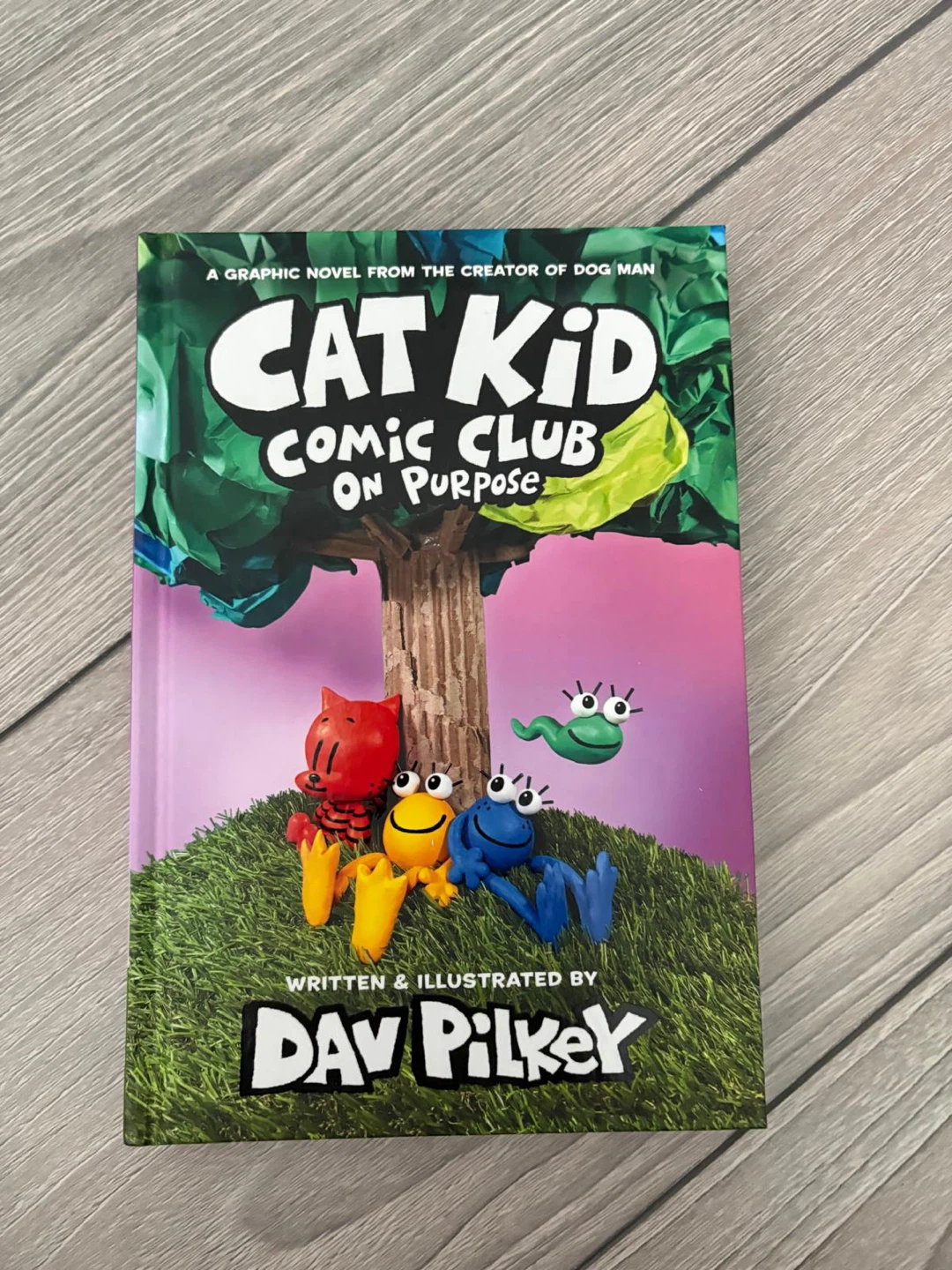 Cat Kid Comic Club: On Purpose by Dav B Pilkey 🏈