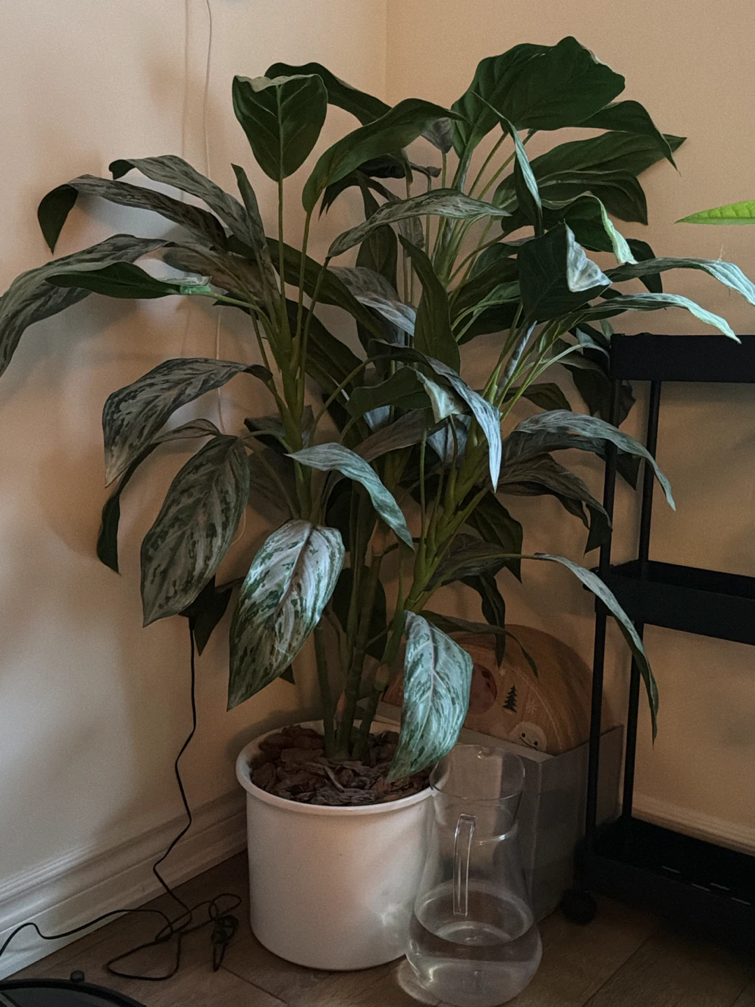 🏈 Large Artificial Aglaonema Plant in White Pot