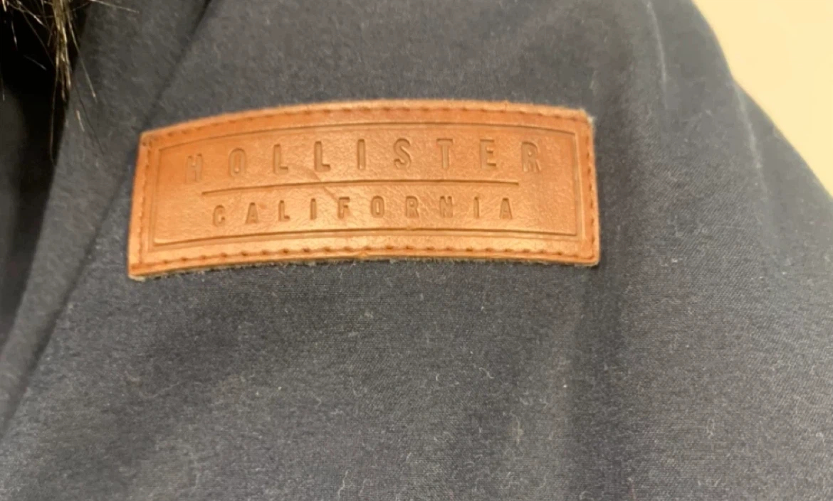 Hollister Winter Parka - photo 3