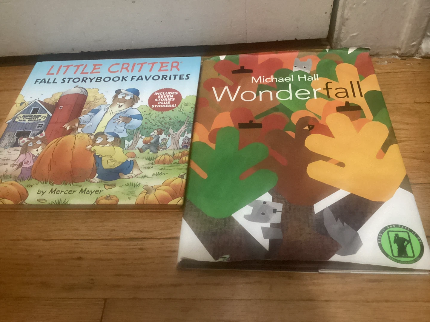 🏈 Children's Book Bundle: Little Critter and Wonderfall