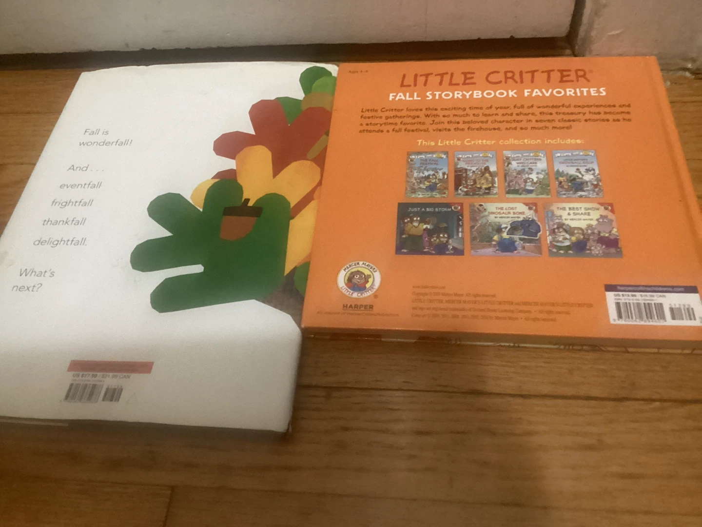 🏈 Children's Book Bundle: Little Critter and Wonderfall - photo 2