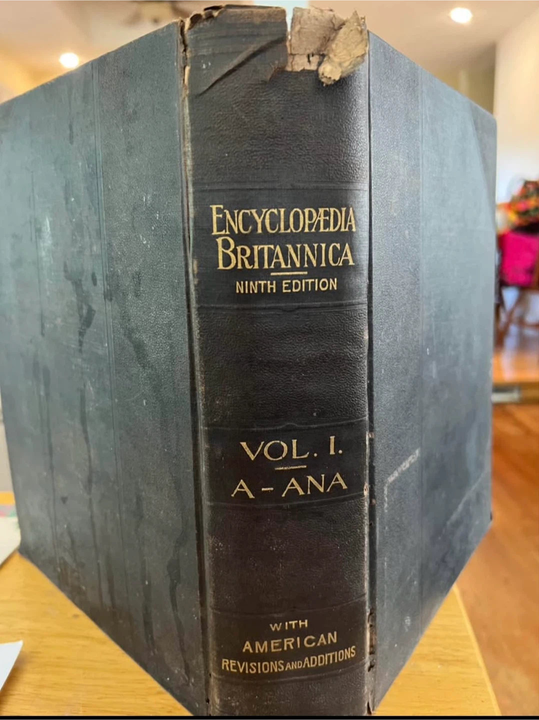 Antique 1894 Encyclopædia Britannica – Ninth Edition