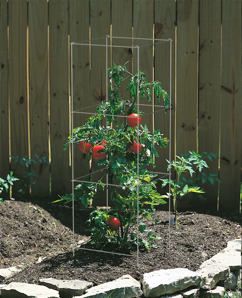 Metal Tomato Cage Support 6 pcs - photo 3