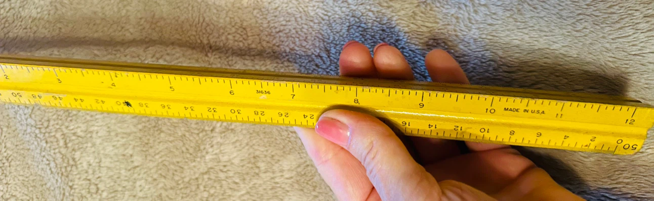 Dietzgen Triangular Architectural Scale - photo 2