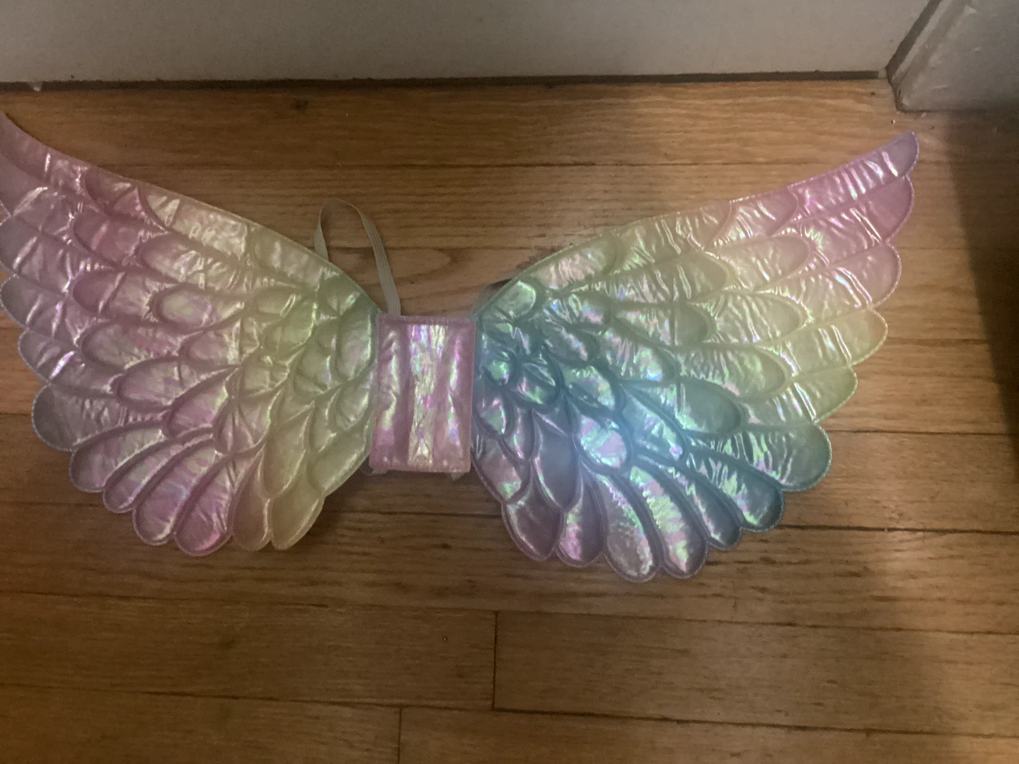 🏈 Iridescent Rainbow Angel Wings