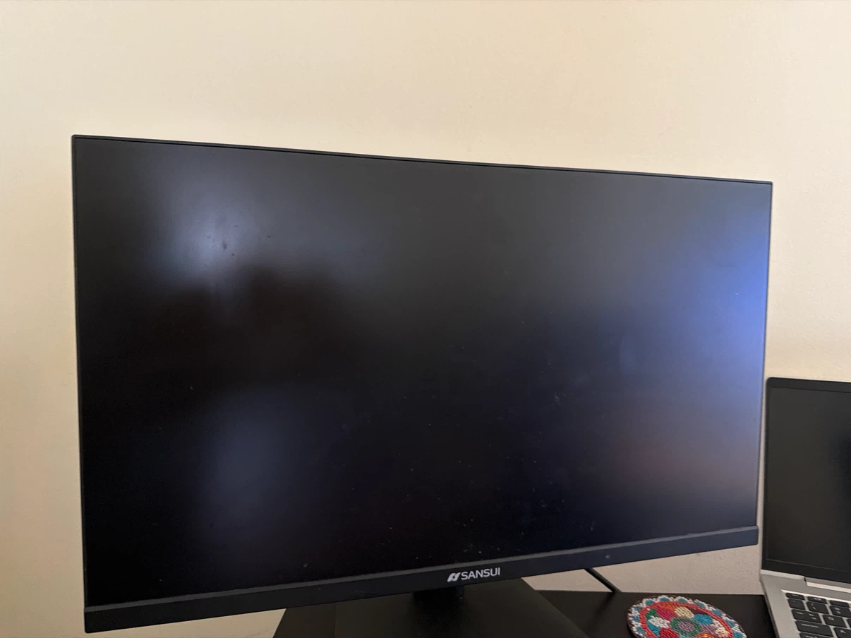 Sansui Computer Monitor