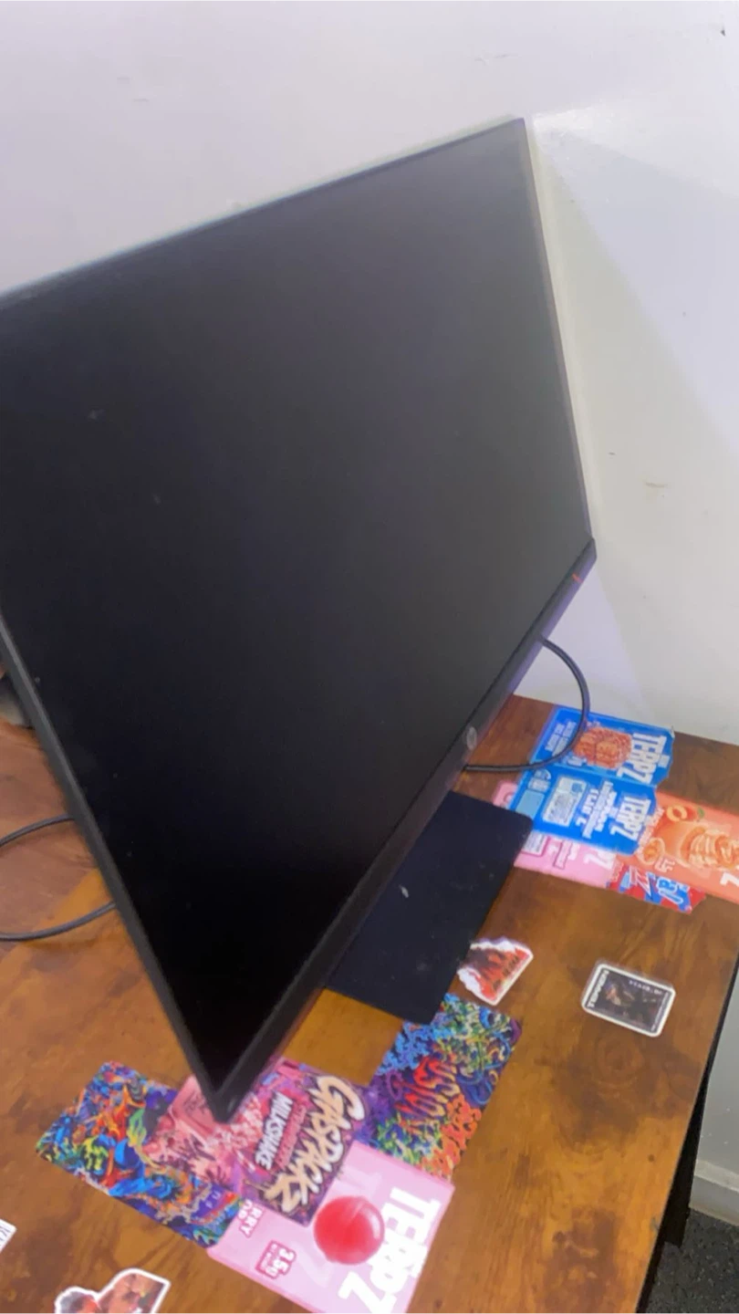 HP Monitor