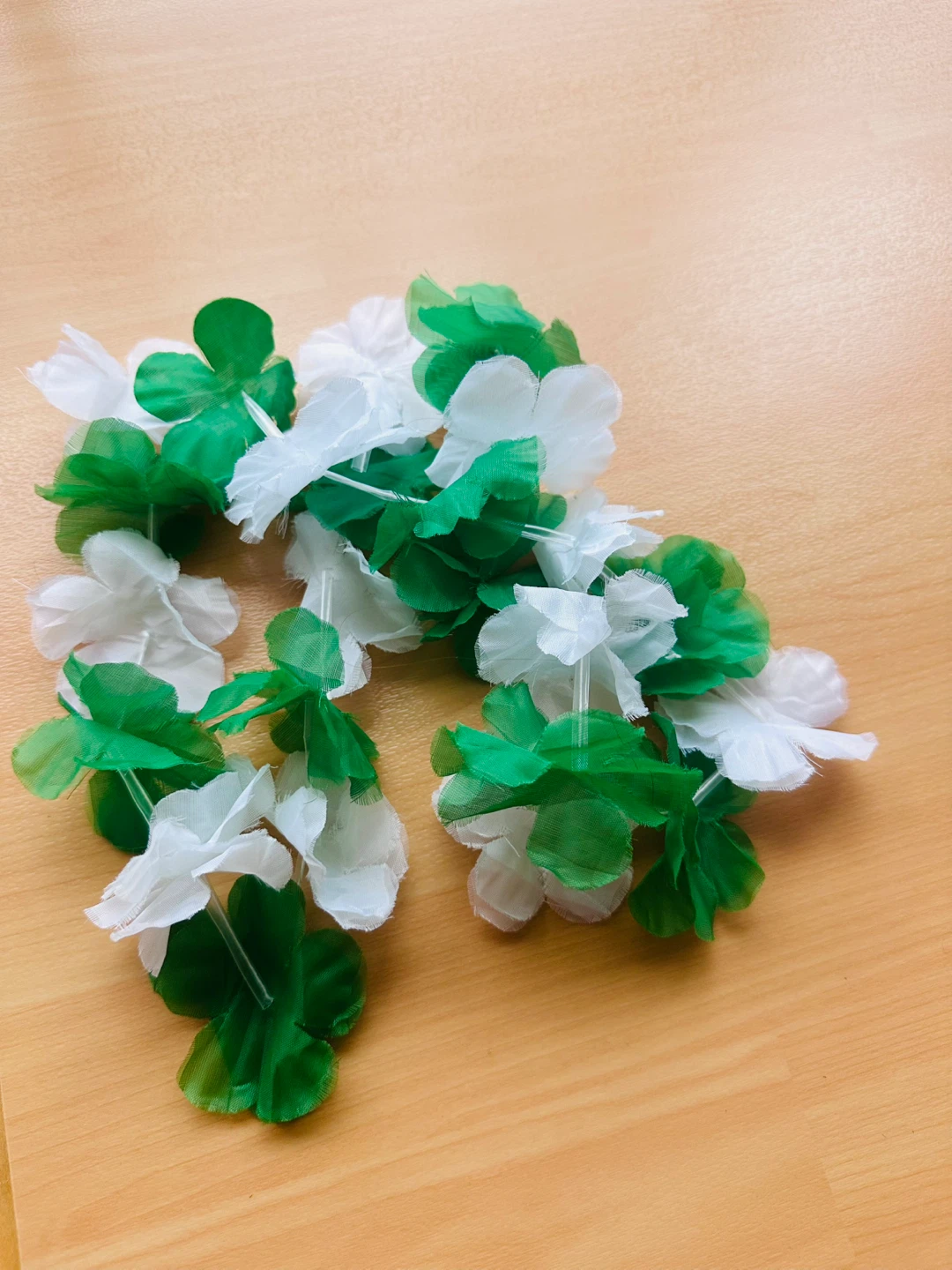 St Patrick’s Day Party Supply🏈