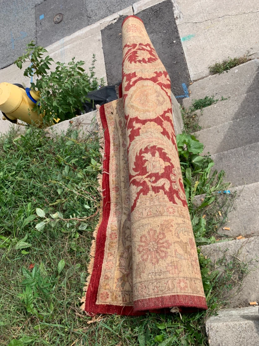 Area rug  10x10