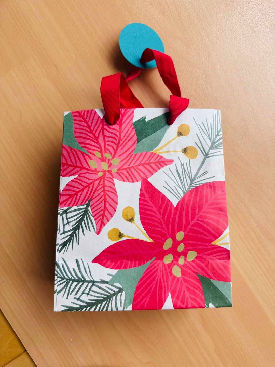Poinsettia Christmas Gift Bag🏈