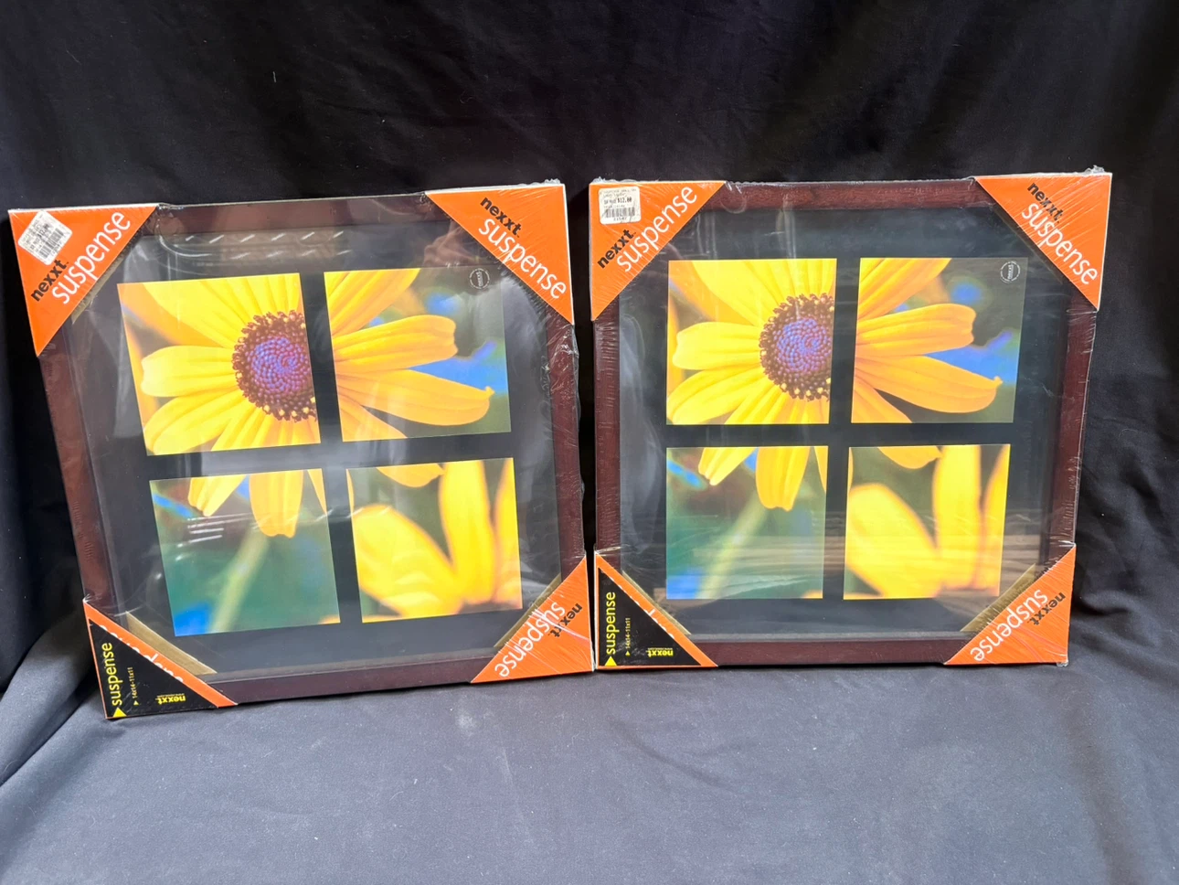 2 Nexxt Suspense Photo Frames