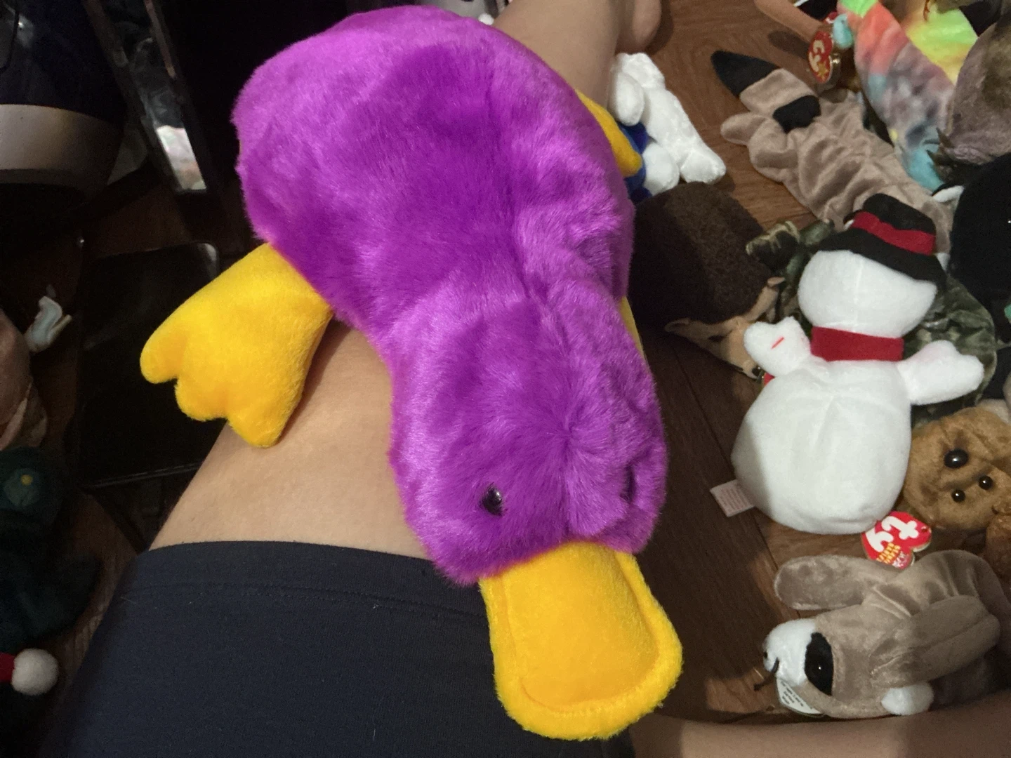 Ty Beanie Baby Patti the Platypus 🏈