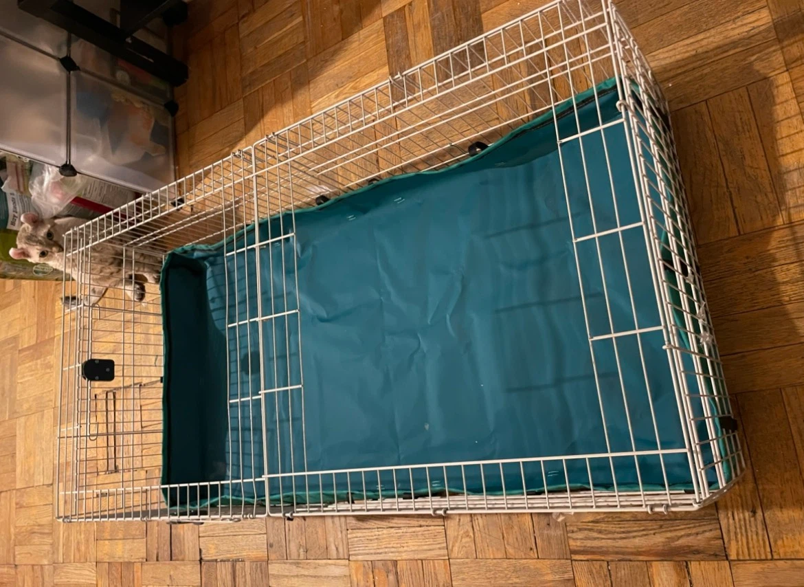 Guinea Pig Cage - photo 2