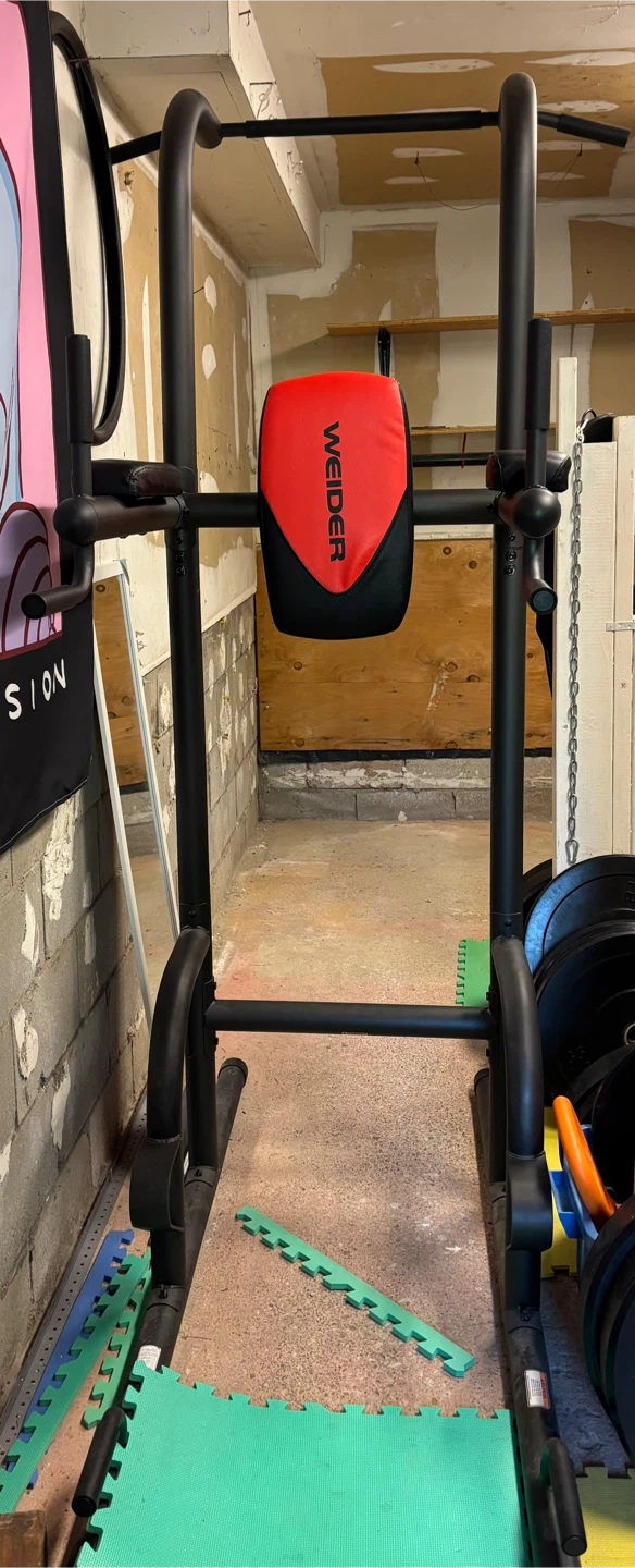 Weider Power Tower