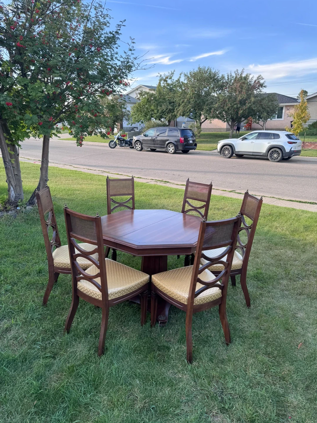 Rare Vintage Elmira Snyder Dining Set –  + 2 Extension Leaves - photo 3