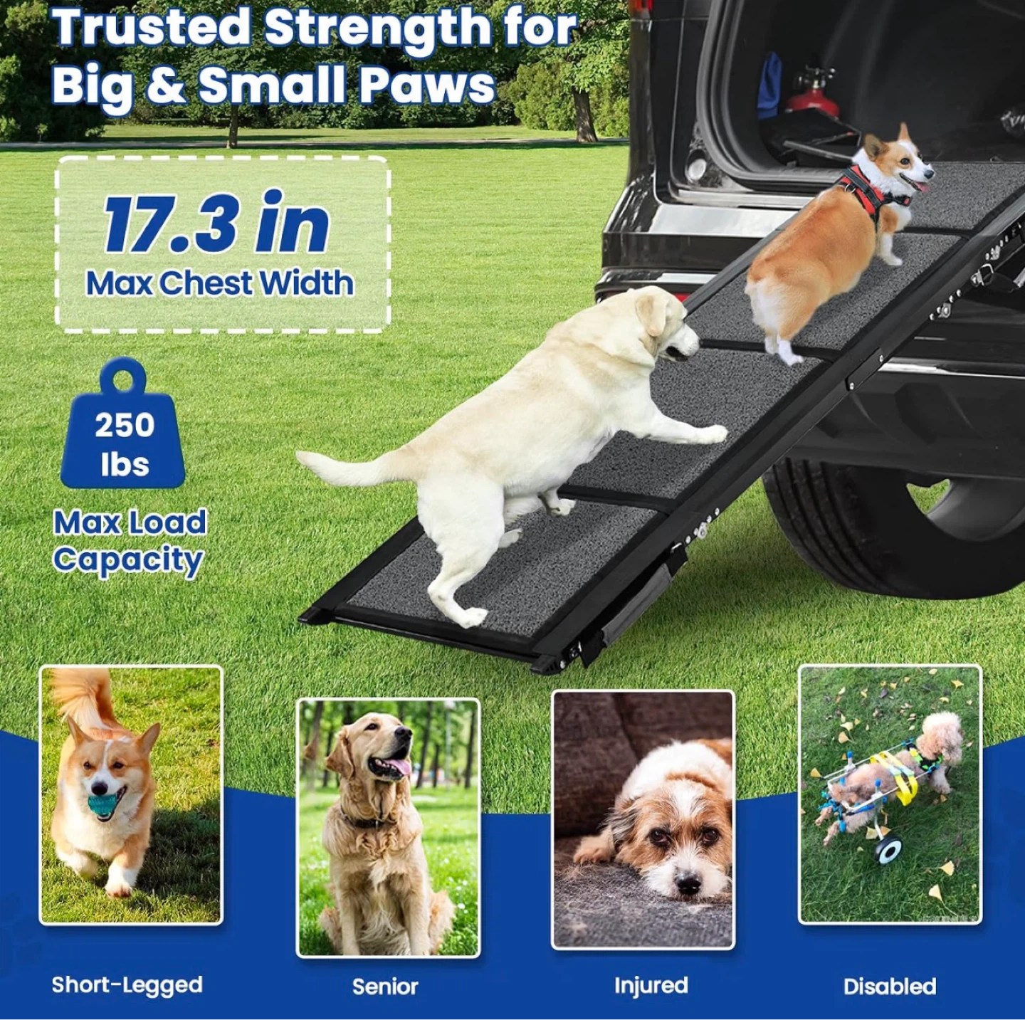 Pawlify Dog Ramp for Car - Brand new - photo 3