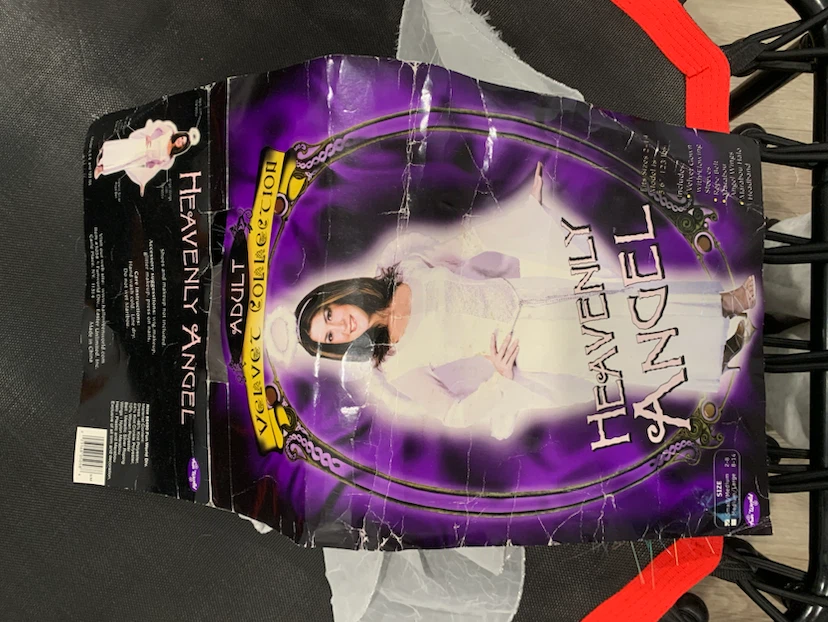 Fun World Adult Heavenly Angel Costume