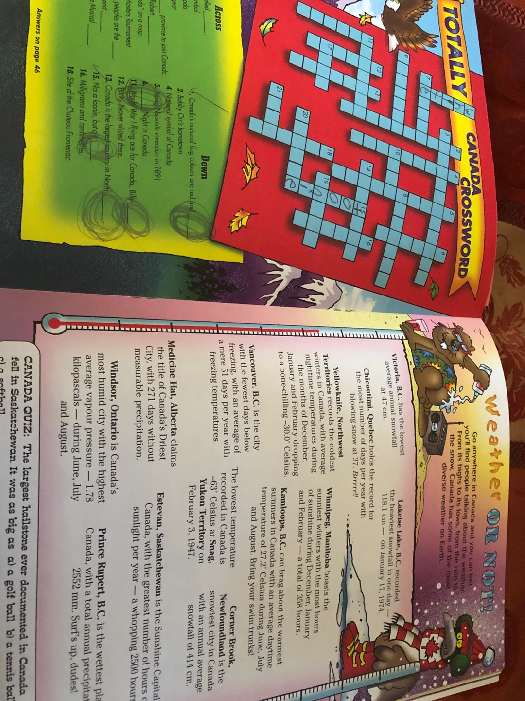Totally Canada Puzzles and Games Book 🏈 - photo 4