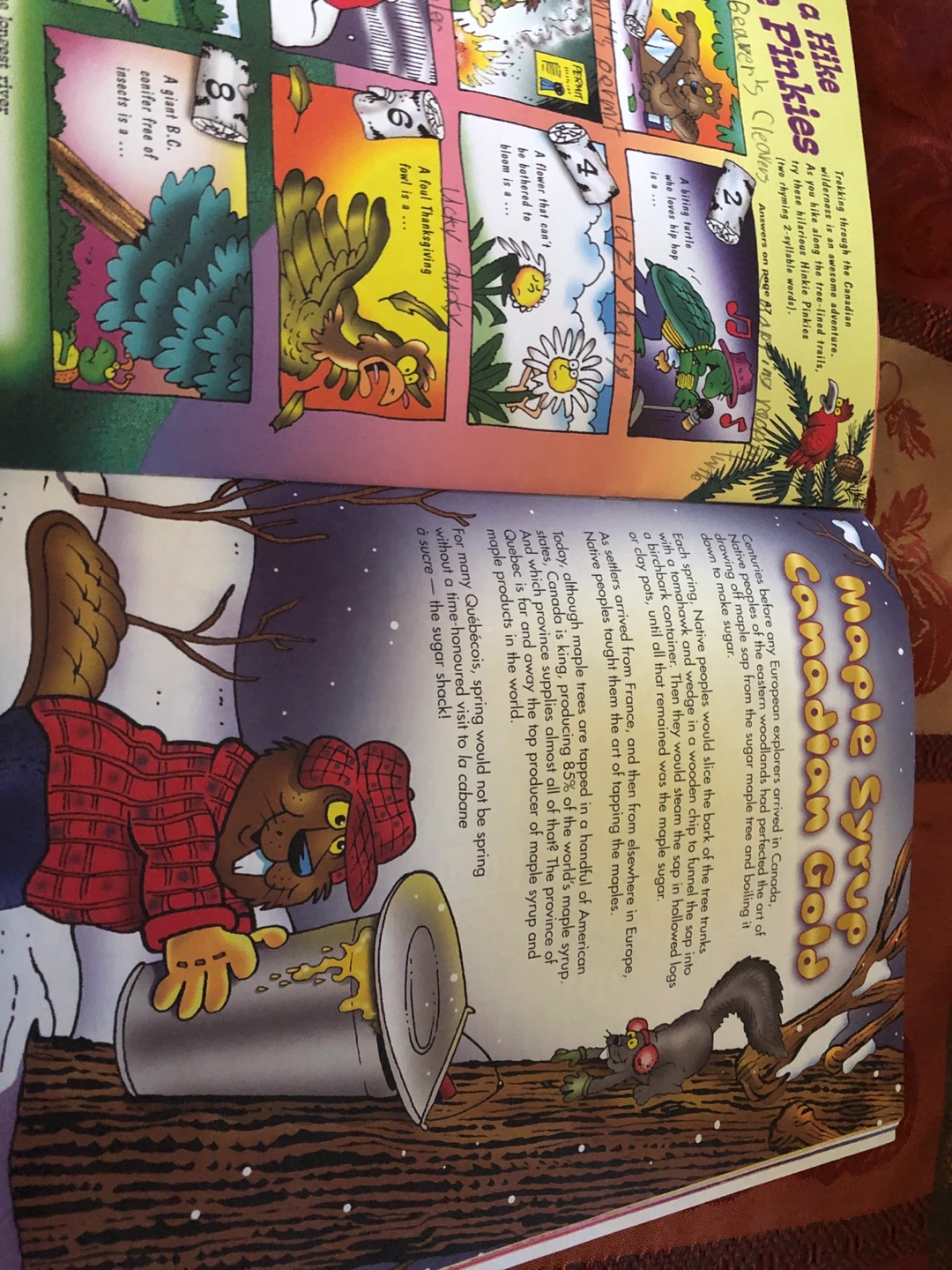 Totally Canada Puzzles and Games Book 🏈 - photo 5