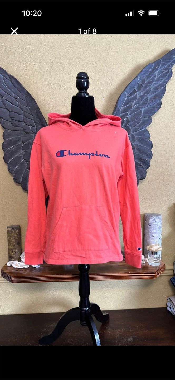 Champion Thin Pullover Sweater