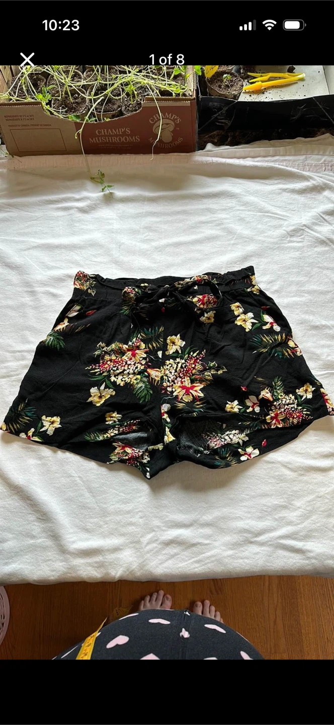 Ambiance Apparel Shorts With Floral