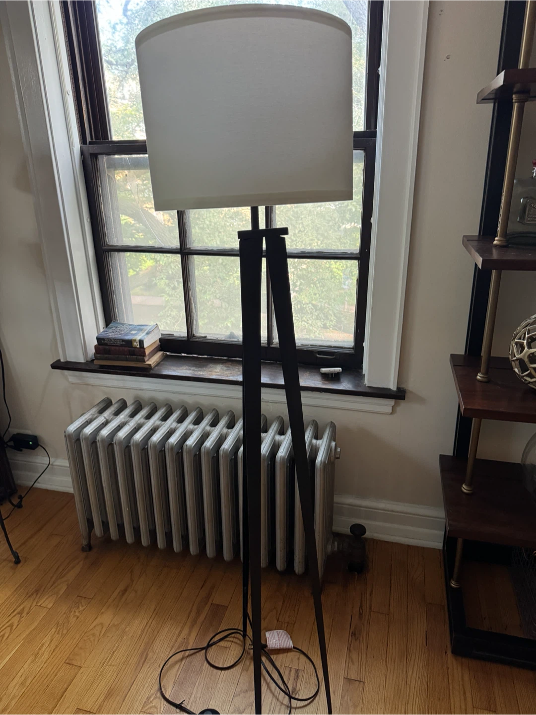 Tripod Floor Lamp with Shade