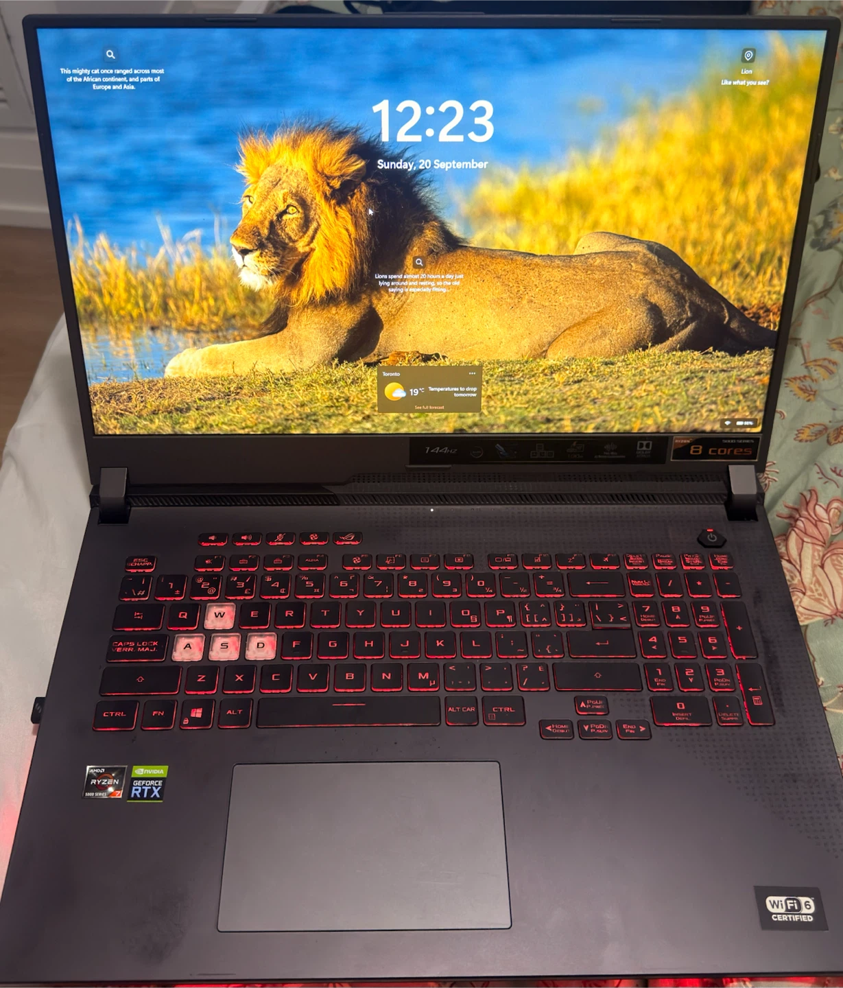 ASUS ROG Strix G17 G713 Gaming Laptop