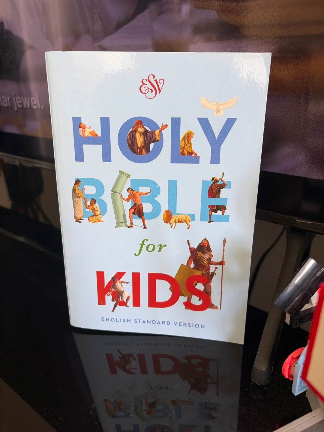 🏈 ESV Holy Bible for Kids