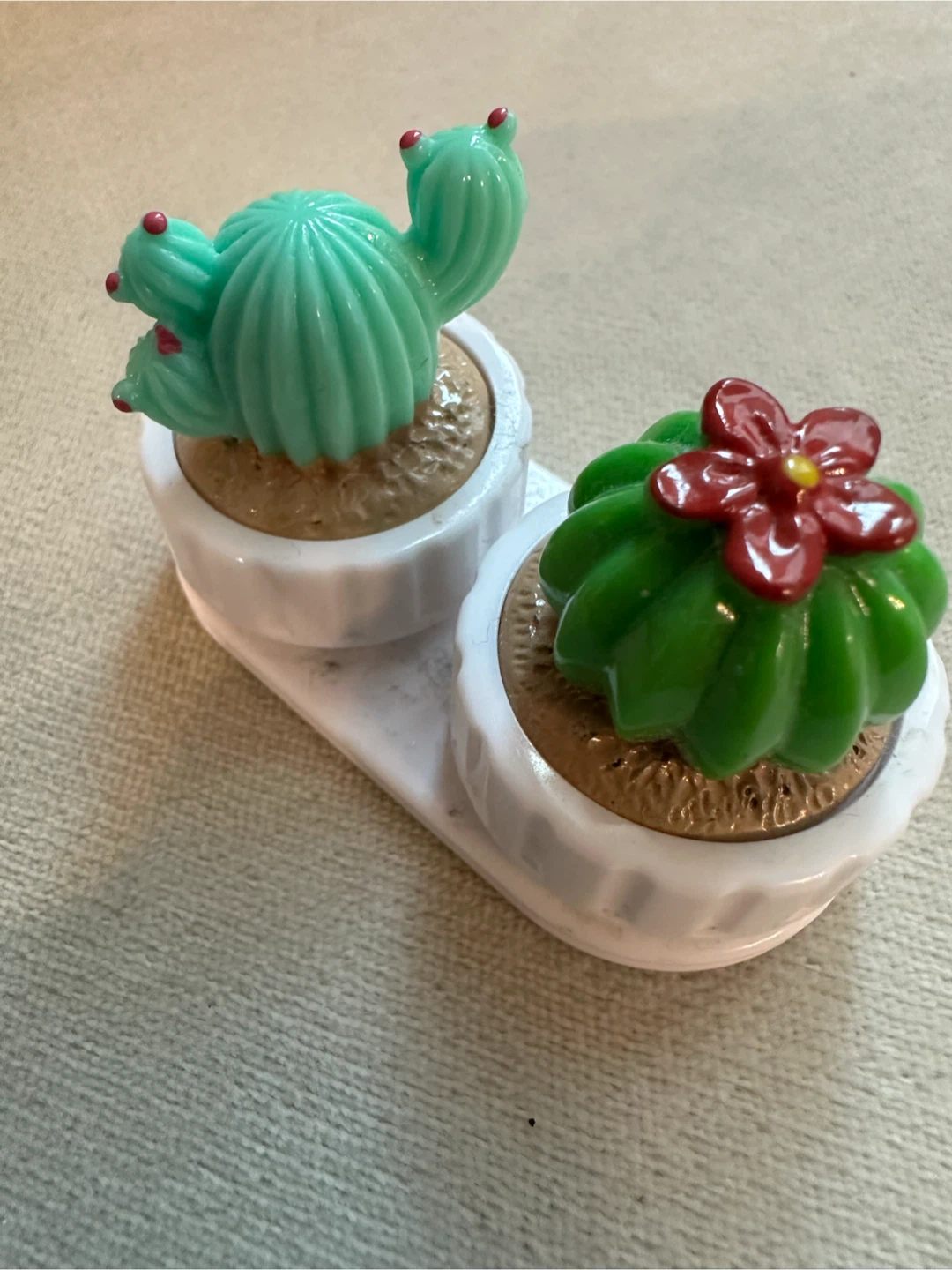 Cactus Theme Contact Lens Case 🏈