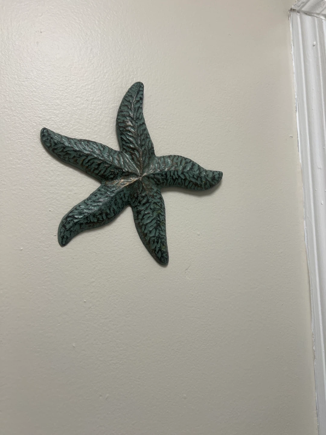Coastal Starfish Wall Decor 🏈