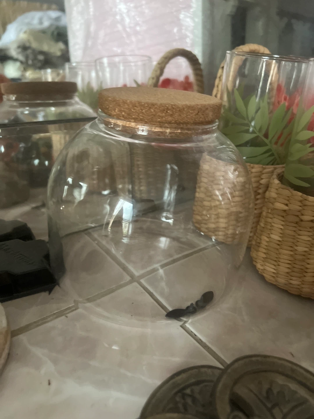 Glass Jar with Cork Lid 🏈