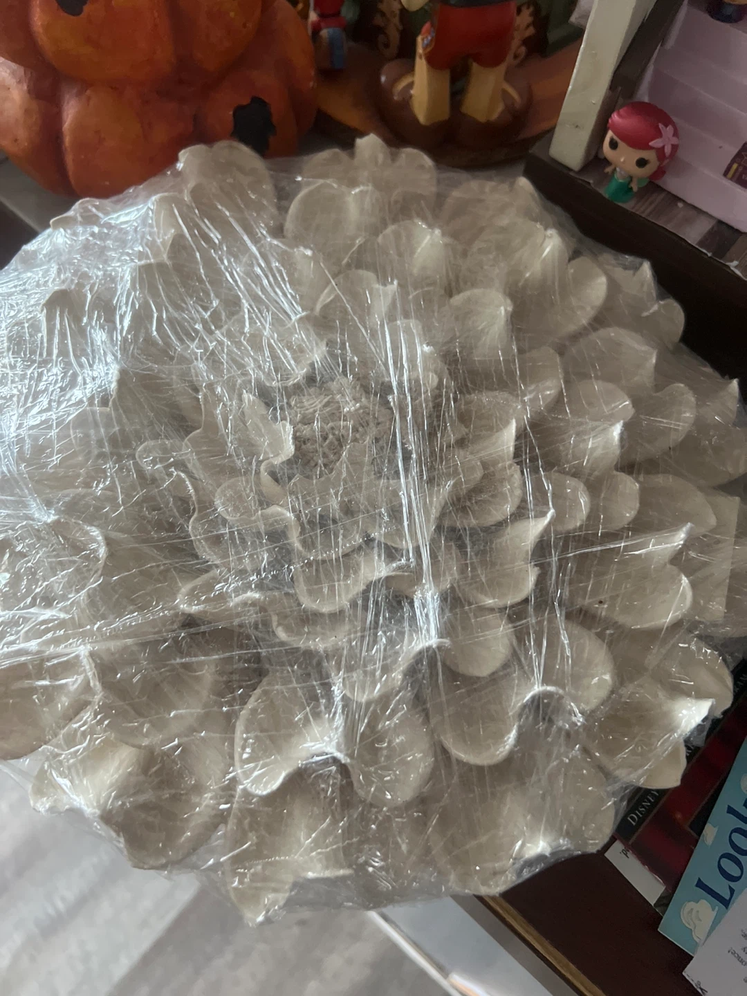White Flower Wall Decor 🏈