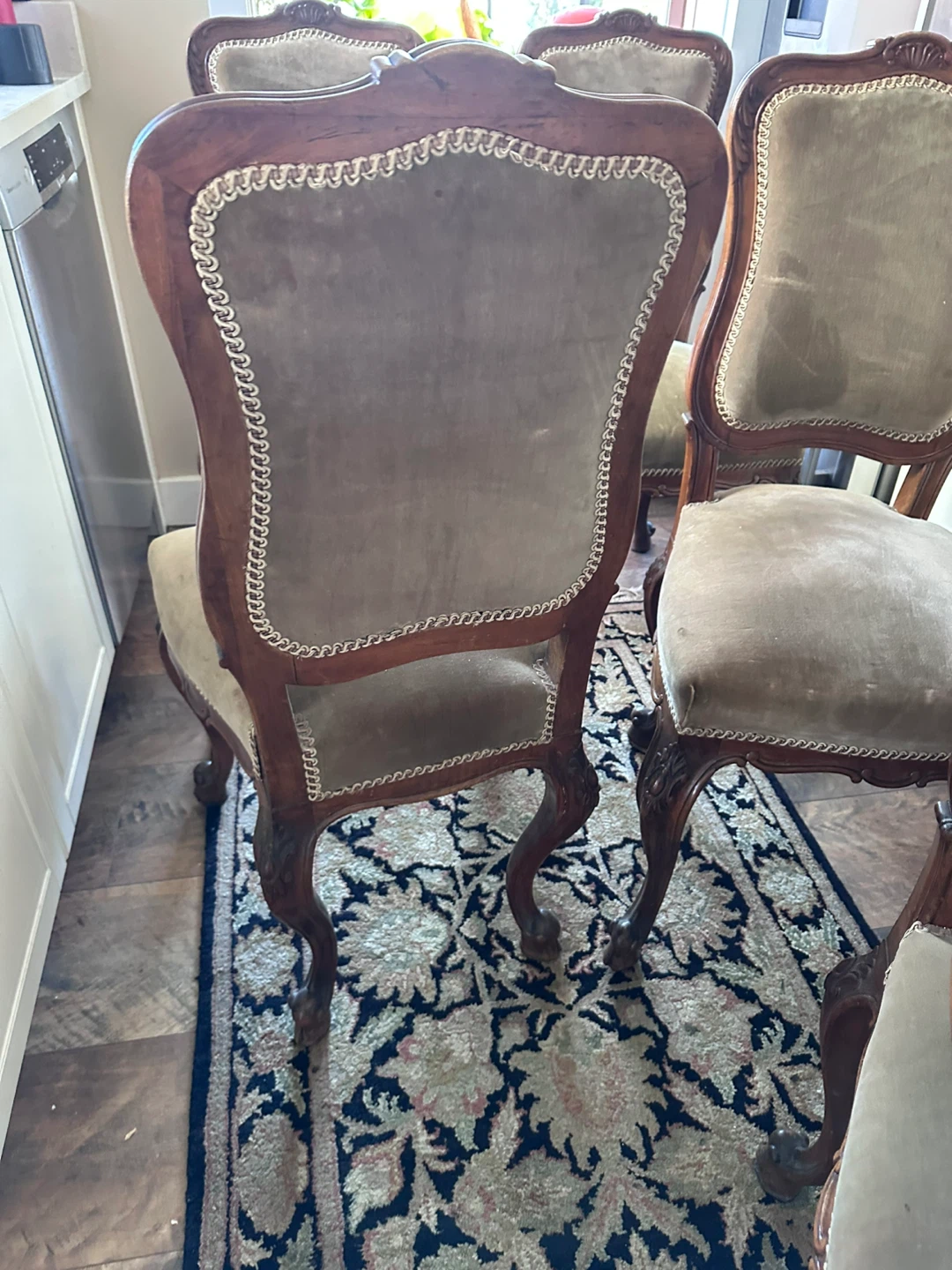 Set of 6 French Walnut  Style Dining Chairs