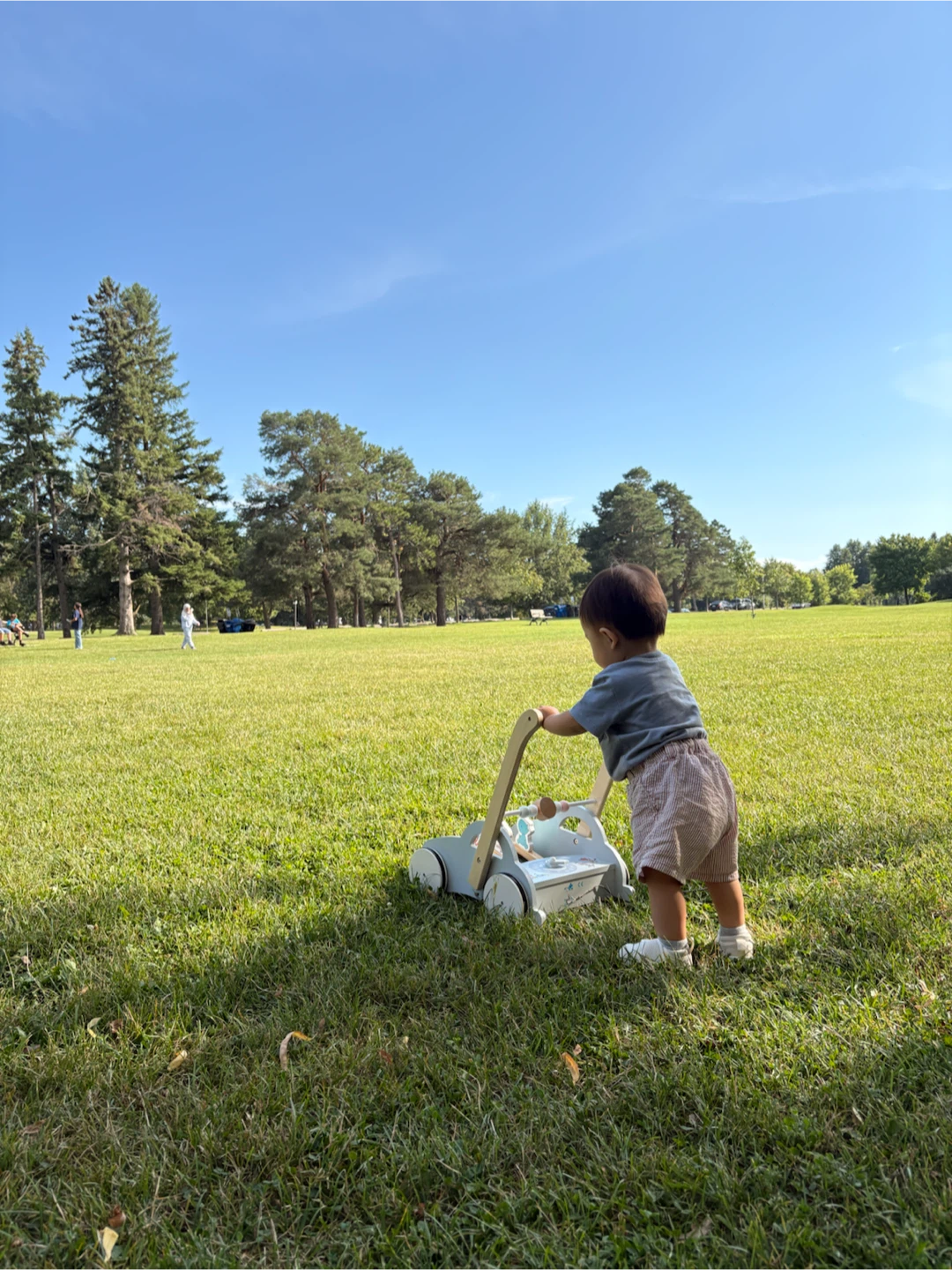 Wooden Activity Baby Walker - photo 4