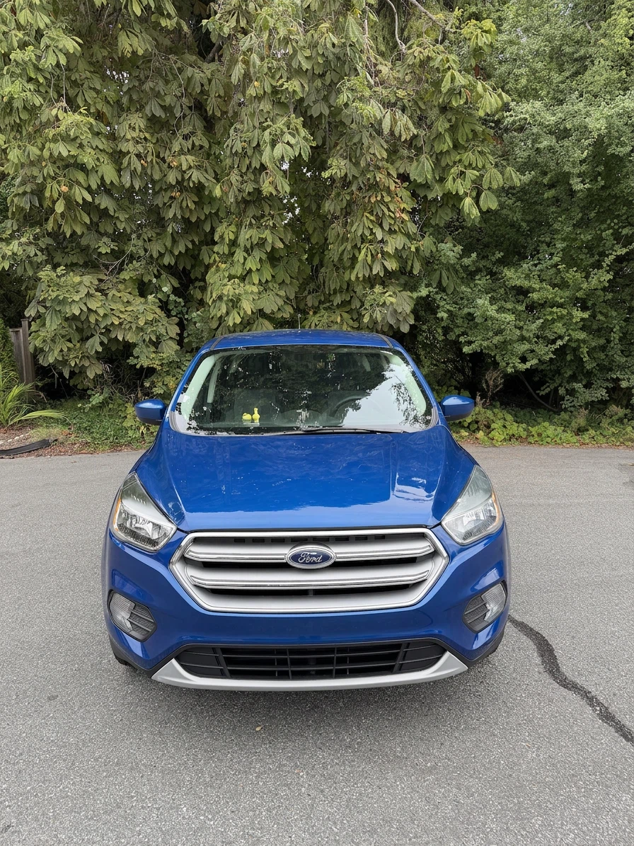 Blue Ford Escape SE