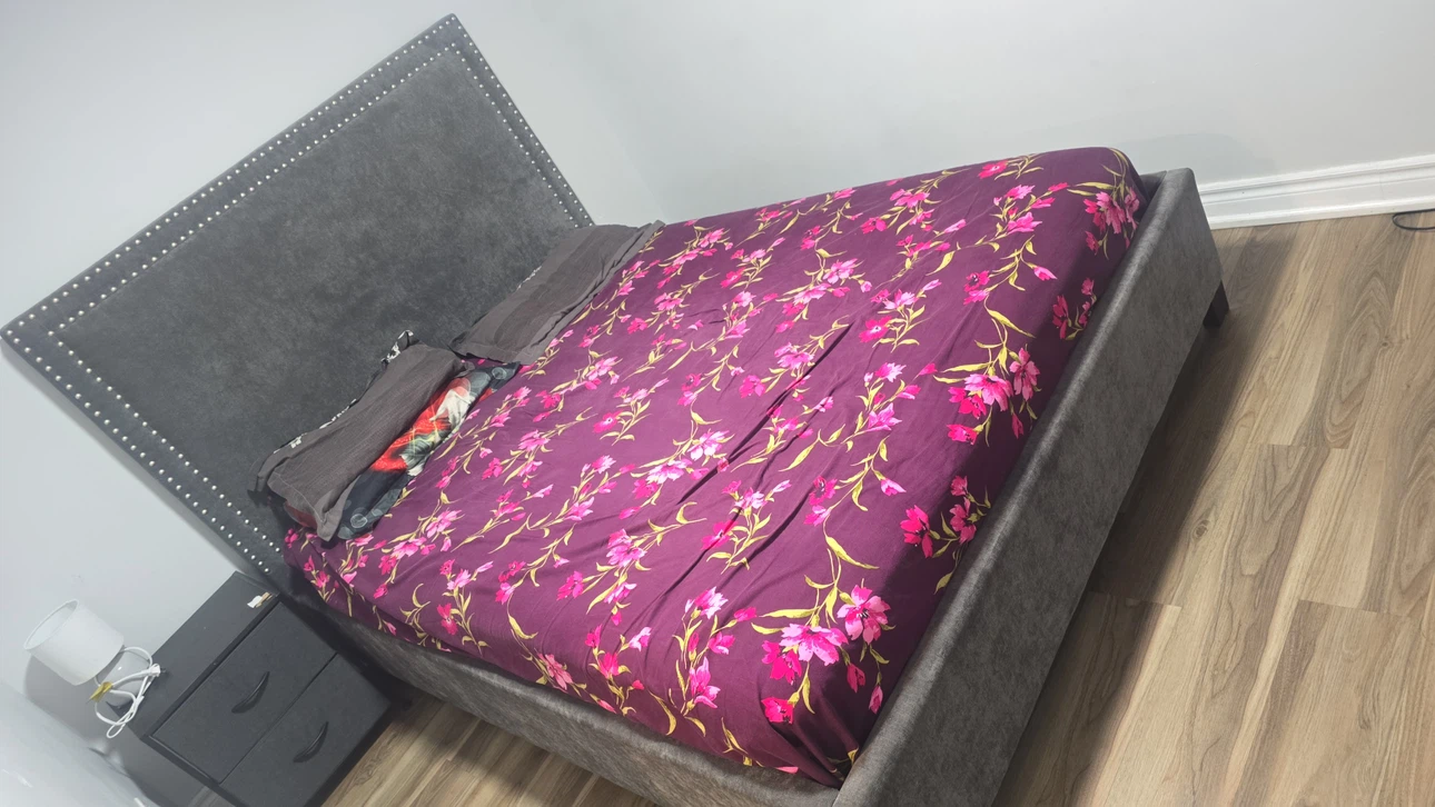 Upholstered Grey Nailhead Queen Bed Frame