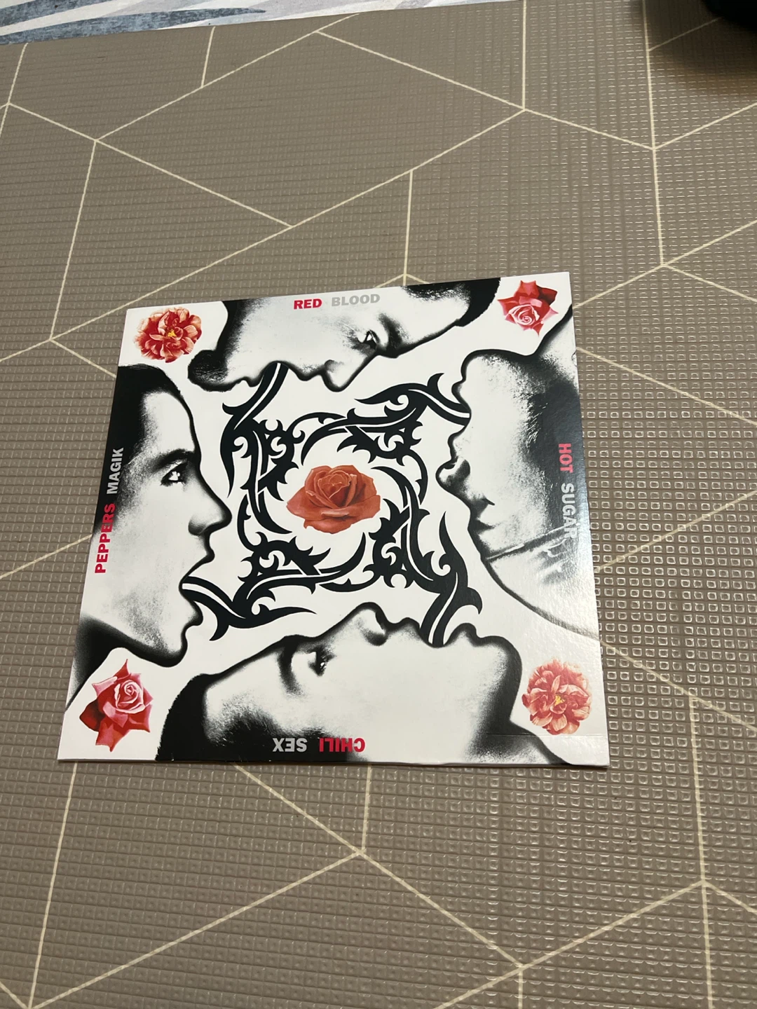 Red Hot Chili Peppers Blood Sugar Sex Magik Vinyl 🏈