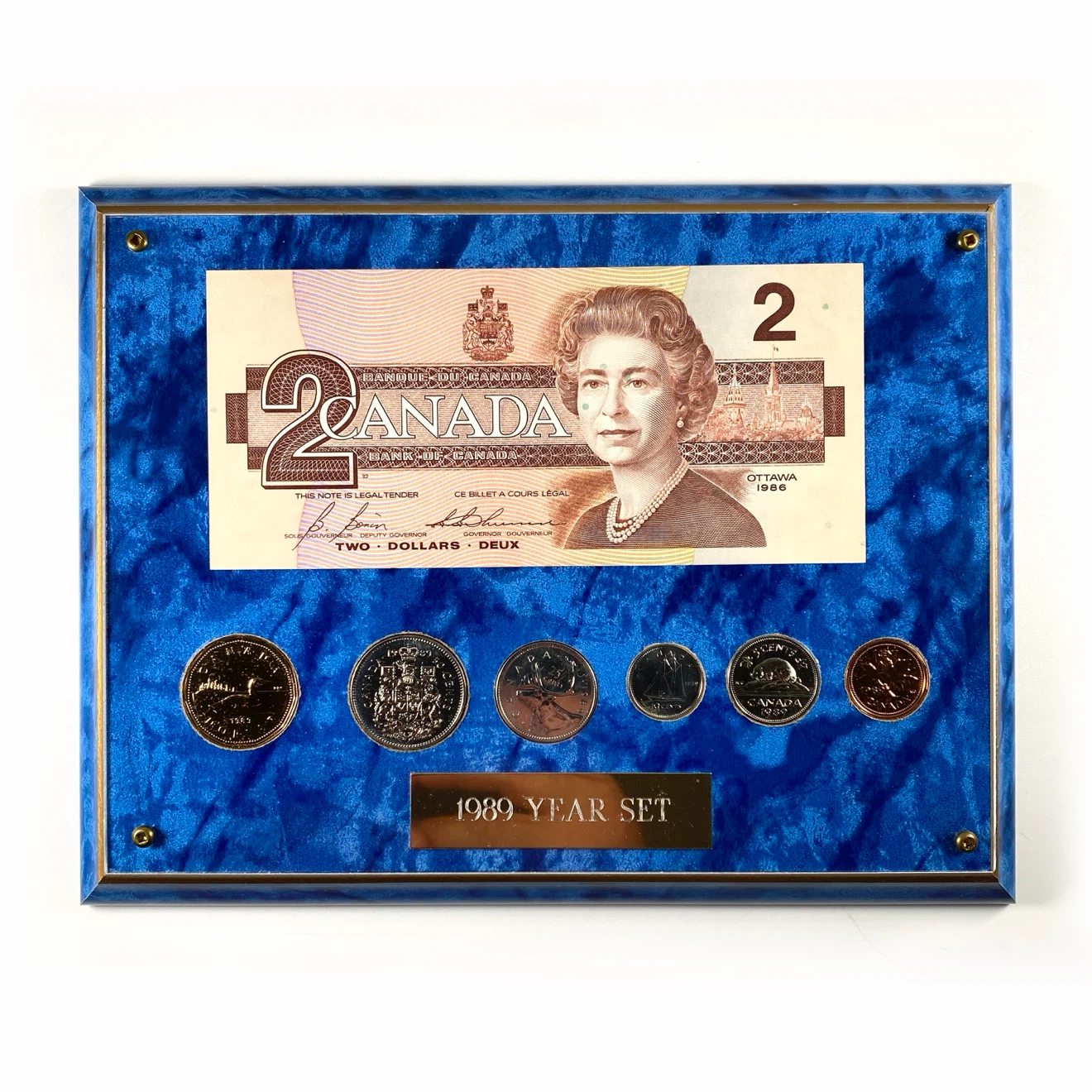 1989 Canadian Currency Plaque 🏈