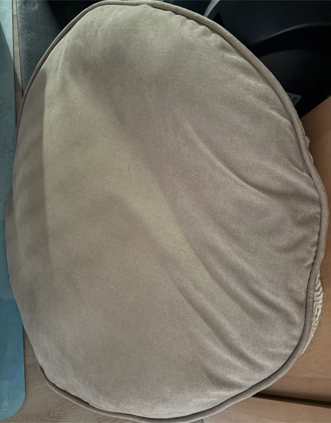 Round large dog bed 🏈
