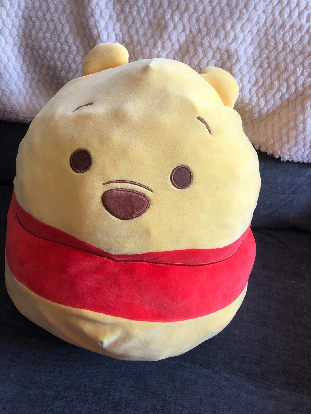 Disney Squishmallows Winnie the Pooh Plush 🏈